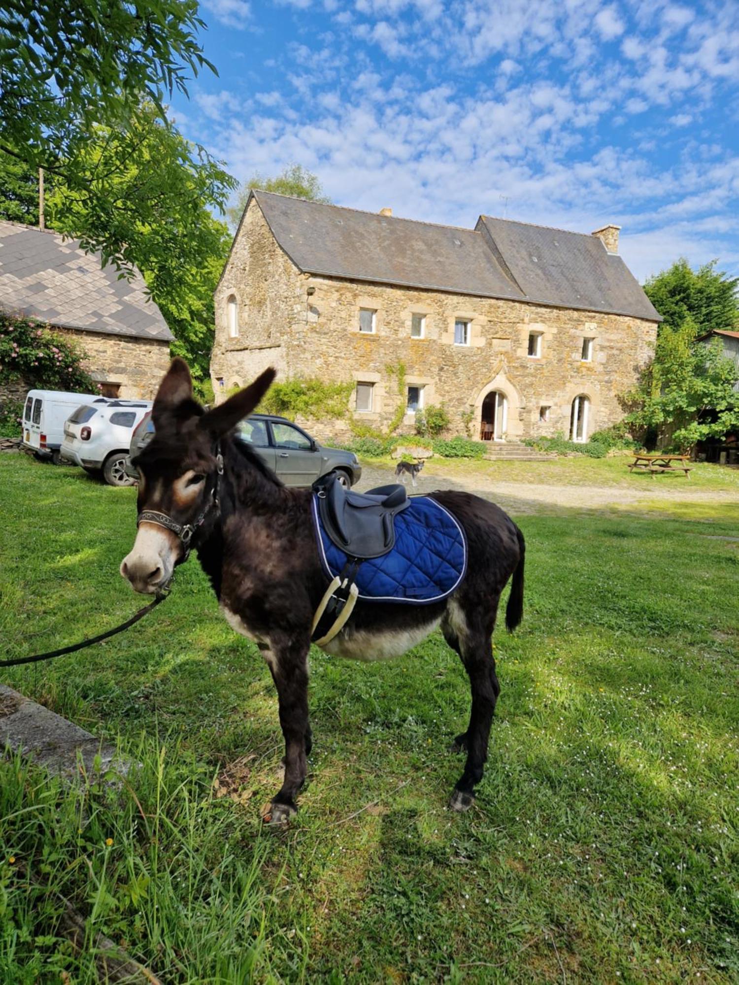 Bed and Breakfast Manoir De Questinguy Allineuc Exterior foto